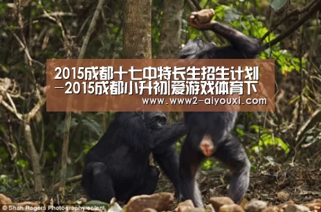 2015成都十七中特长生招生计划-2015成都小升初|爱游戏体育下载(图2) 爱游戏官网