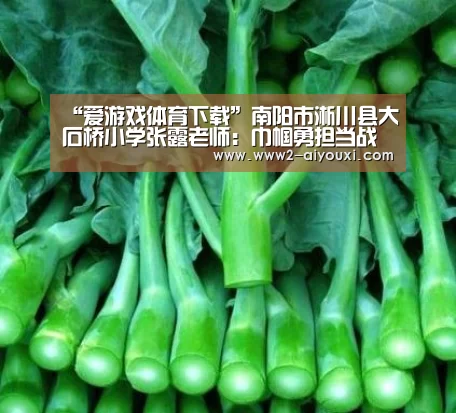 “爱游戏体育下载”南阳市淅川县大石桥小学张露老师:巾帼勇担当战“疫”践初心(图3) 爱游戏官网